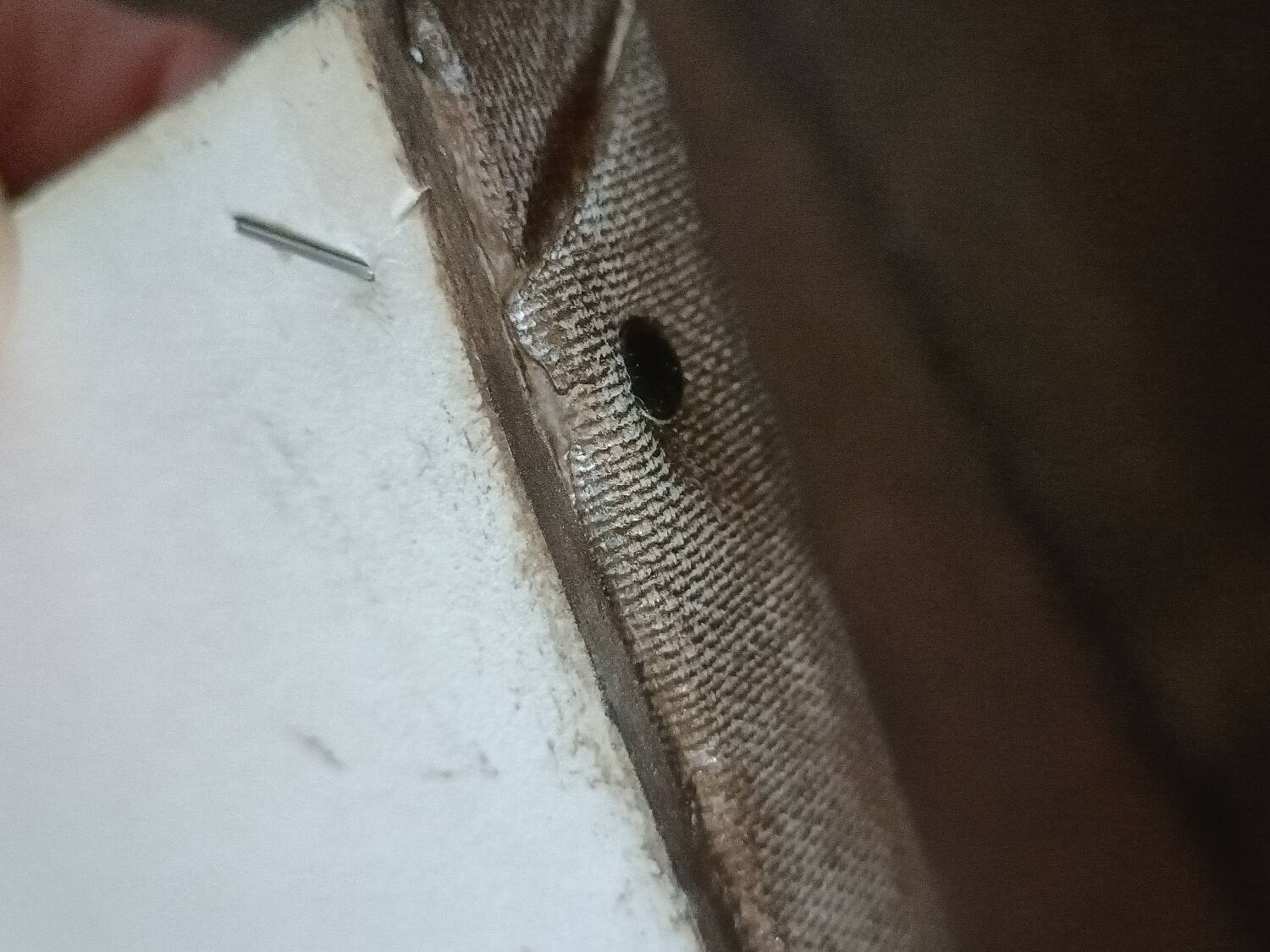 Still life, oil on canvas, signed