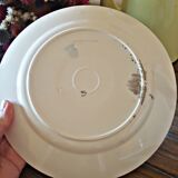 5 flat plates (floral pattern) mismatched: Badonviller (2+2) and a K&G Lunéville model Chantal