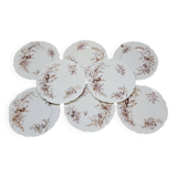 8 Superb Antique 19th Century Plates Decorated with Birds on Branches