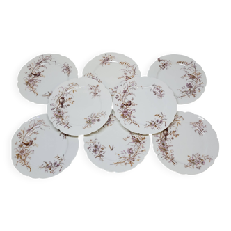8 Superb Antique 19th Century Plates Decorated with Birds on Branches