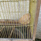 Ancienne cage à oiseaux