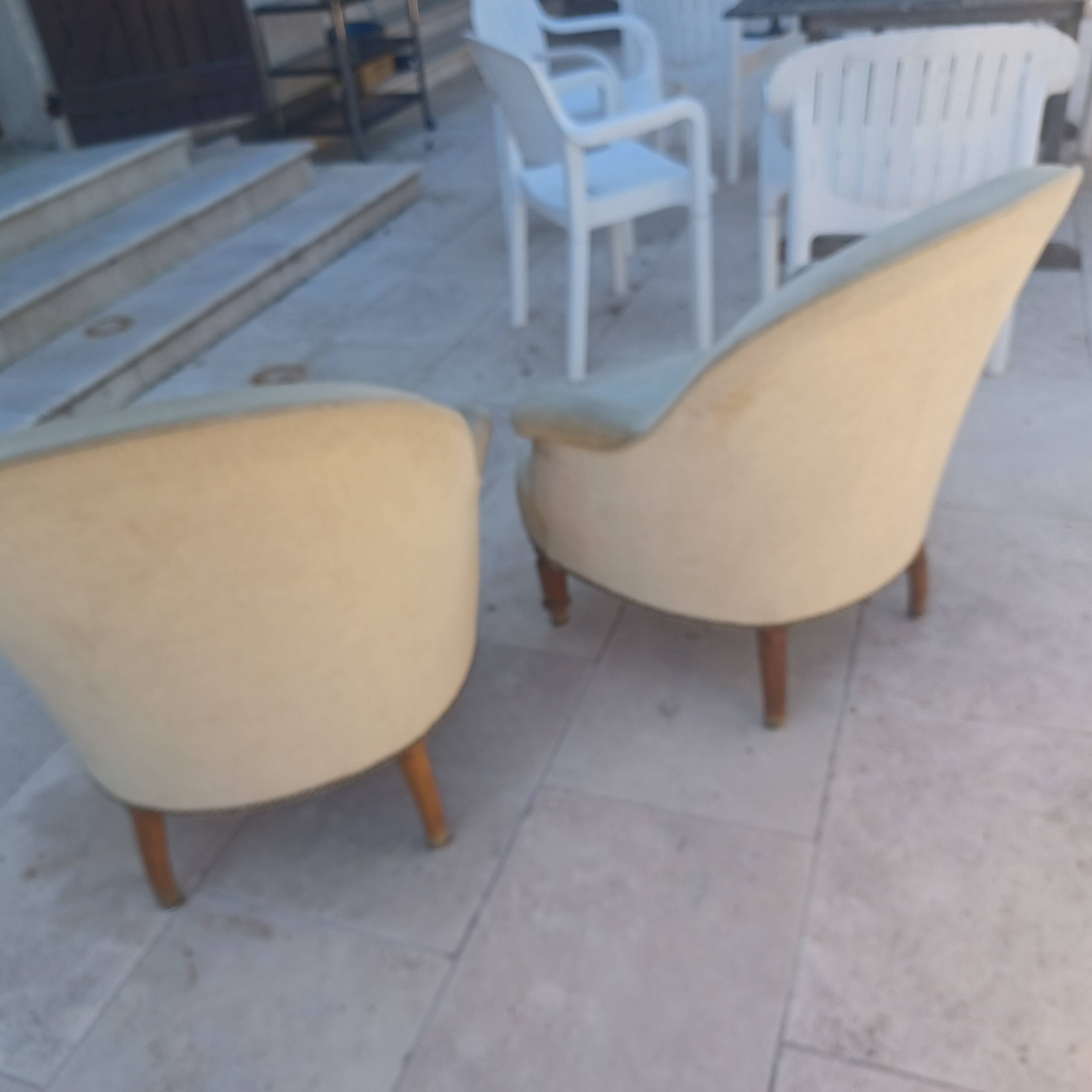 Frog armchairs