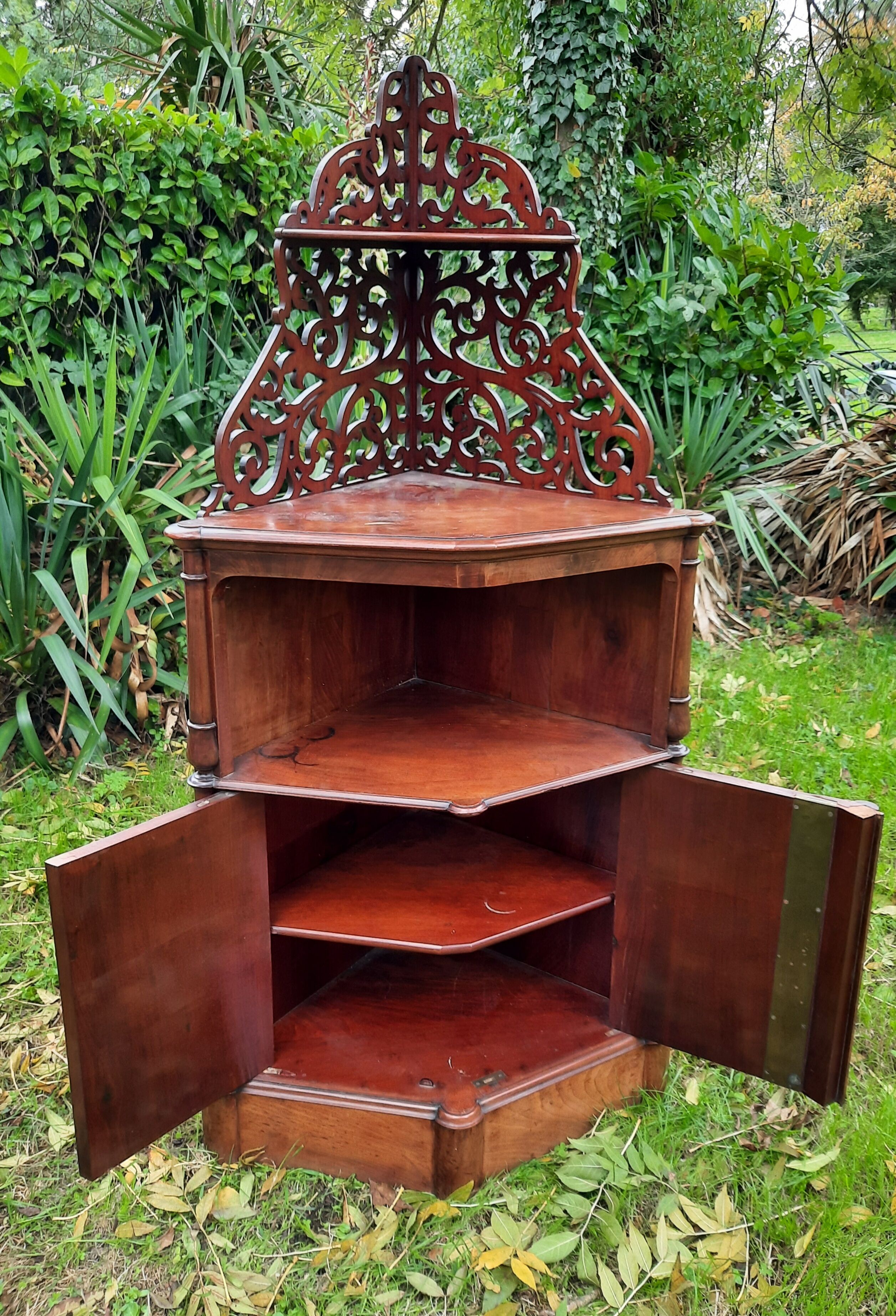 English mahogany neckline