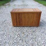 Trunk