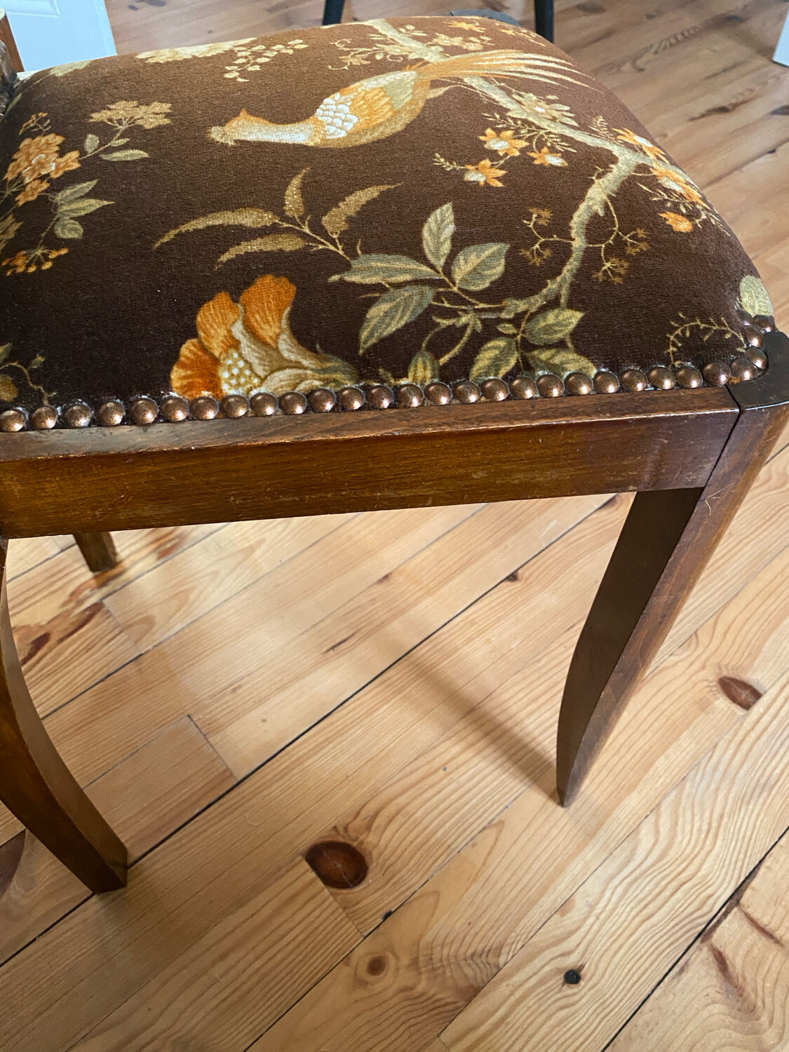 Set de 2 chaises vintage en velours oiseaux 1960-1970, état comme neuf.