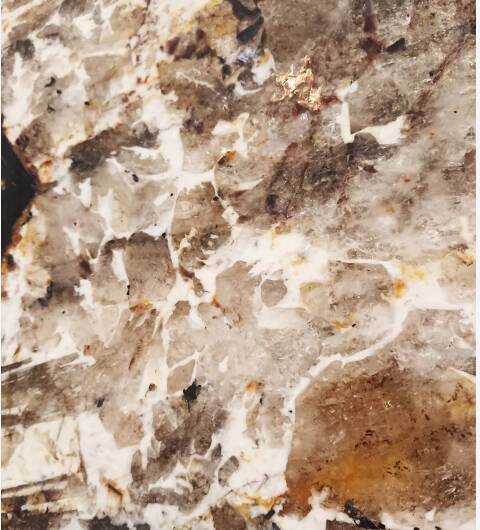 Fortunato designer paris creation office