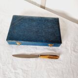 Coffret ancien avec 12 couteaux en acier inoxydable et manches en bois de cerf des années 70
