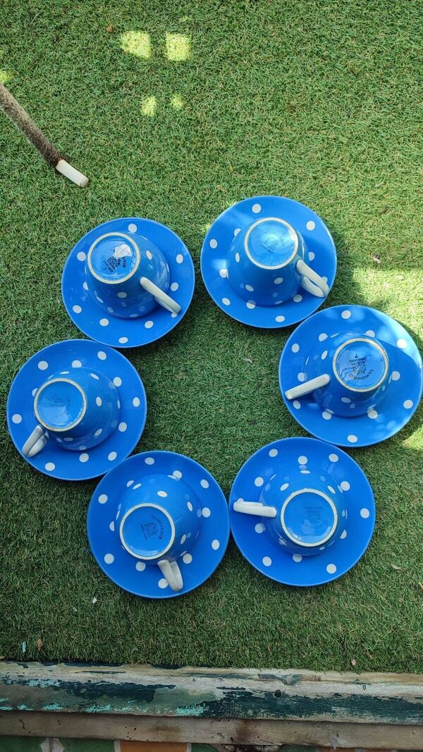 6 tasses à thé et sous-tasses anglaises TG Green