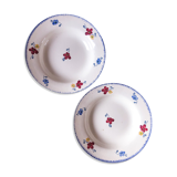 Duo of plates digoin Sarreguemines