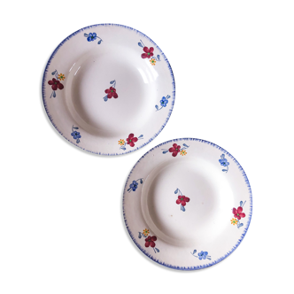Duo of plates digoin Sarreguemines