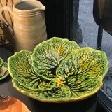 Flat slurry cabbage leaves Vallauris