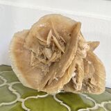 Large size sand rose