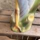 Pitcher barbotine stork