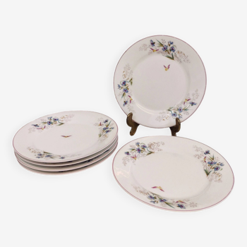 6 Assiettes en porcelaine fleurs