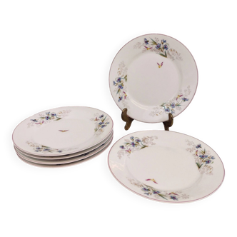 6 Assiettes en porcelaine fleurs