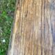 Banc de ferme en bois
