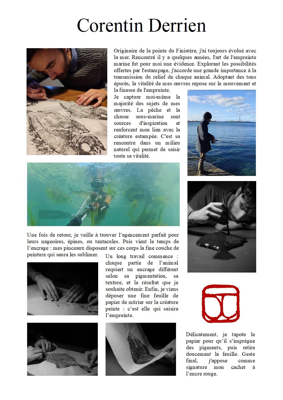 Impression d'art encadrée, "Gyotaku d'une seiche"