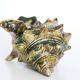 Kitsch ashtray, ceramics, shell shape, 50s