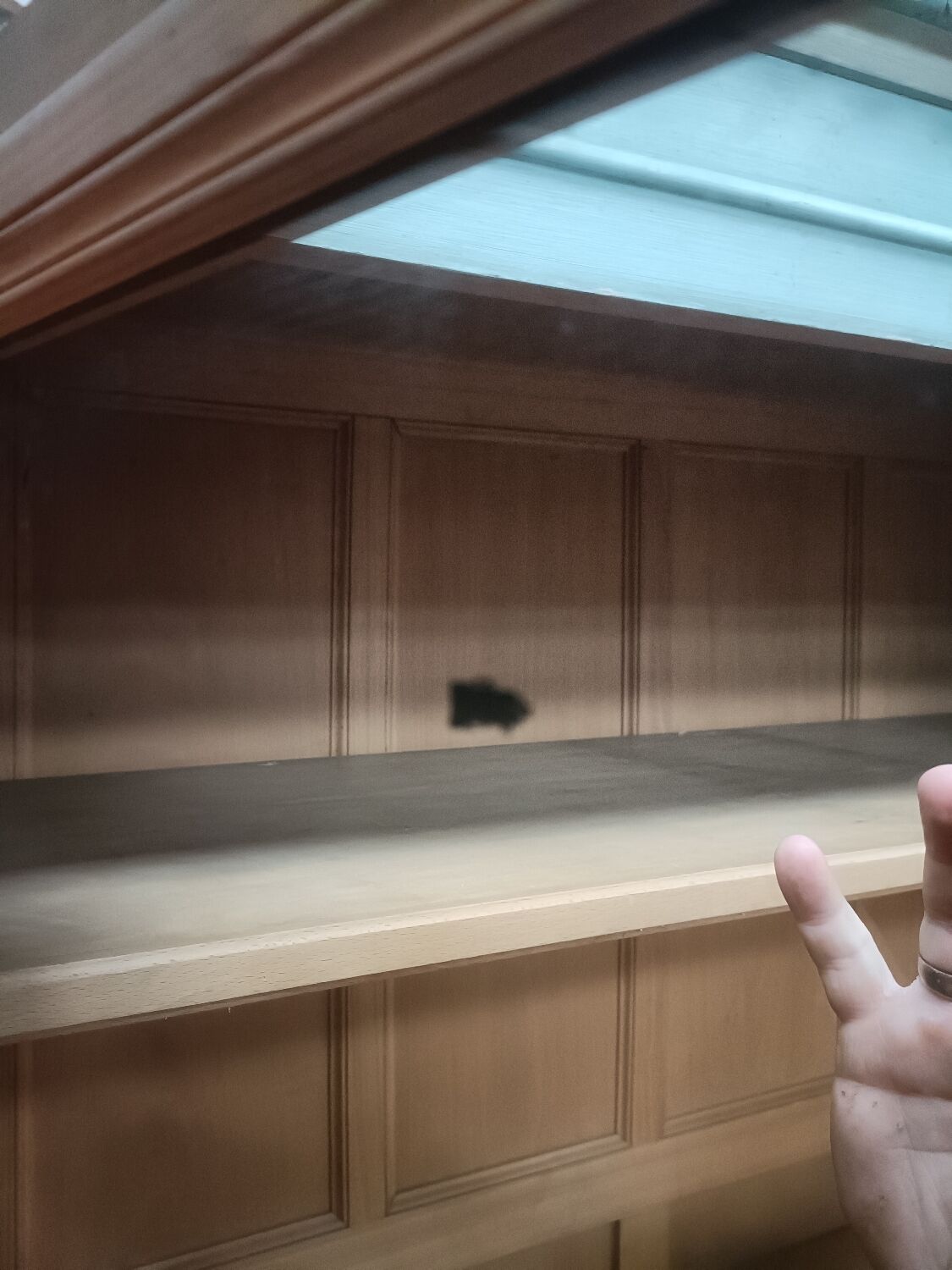 Classic wardrobe, 2 glass doors and interior mirrors