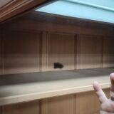 Classic wardrobe, 2 glass doors and interior mirrors