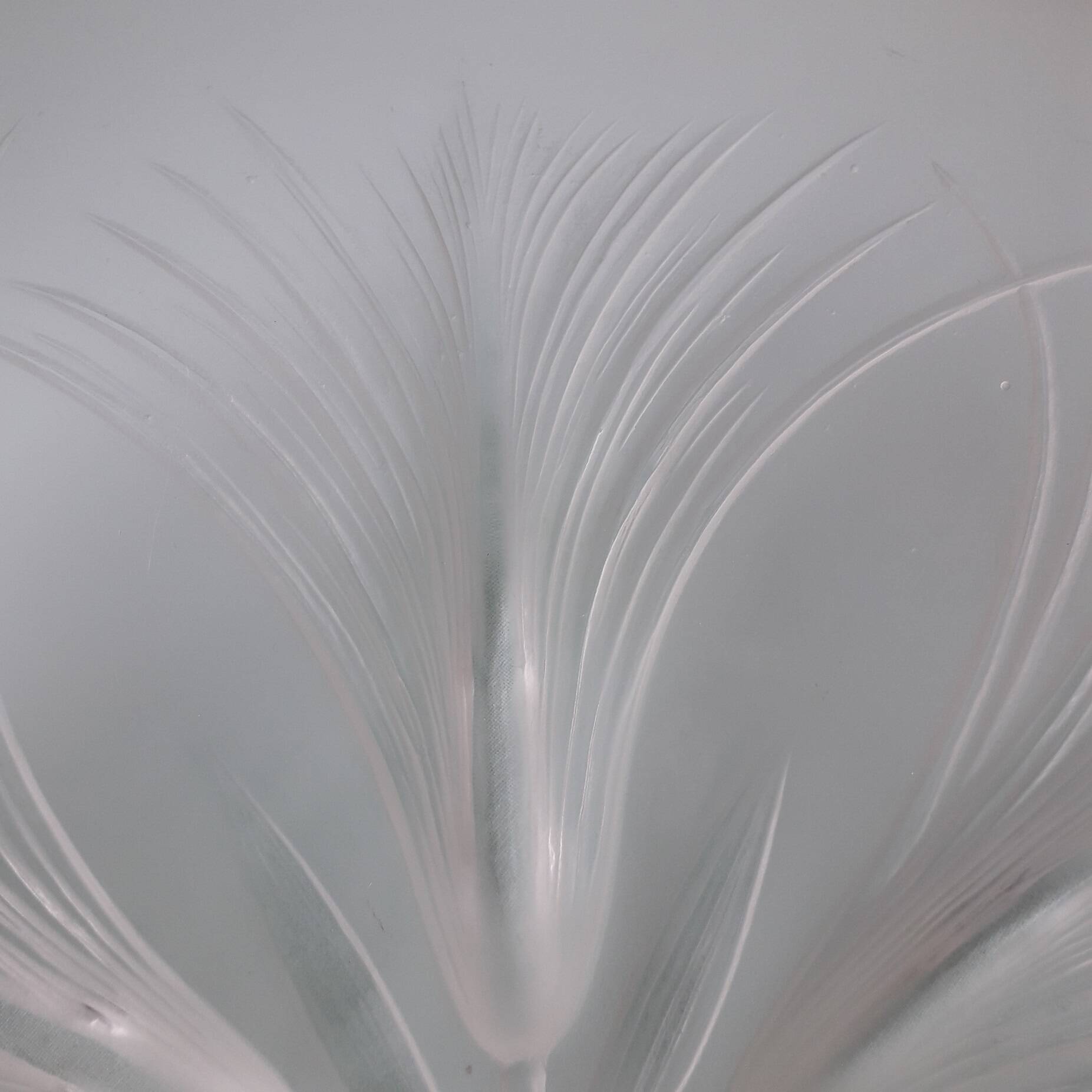 Verlys glass cup