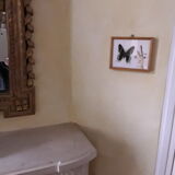 Framed Butterfly Urania-Leilus