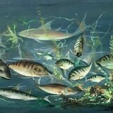 Congolese School Aquatic fauna Oil on canvas signed