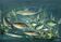 Congolese School Aquatic fauna Oil on canvas signed