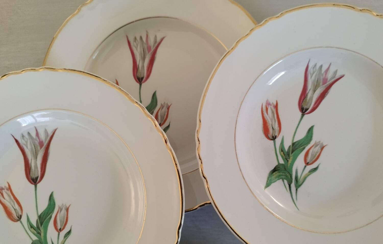 Old earthenware hollow plates Moulin des loups Orchies vintage tulip model