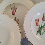 Old earthenware hollow plates Moulin des loups Orchies vintage tulip model