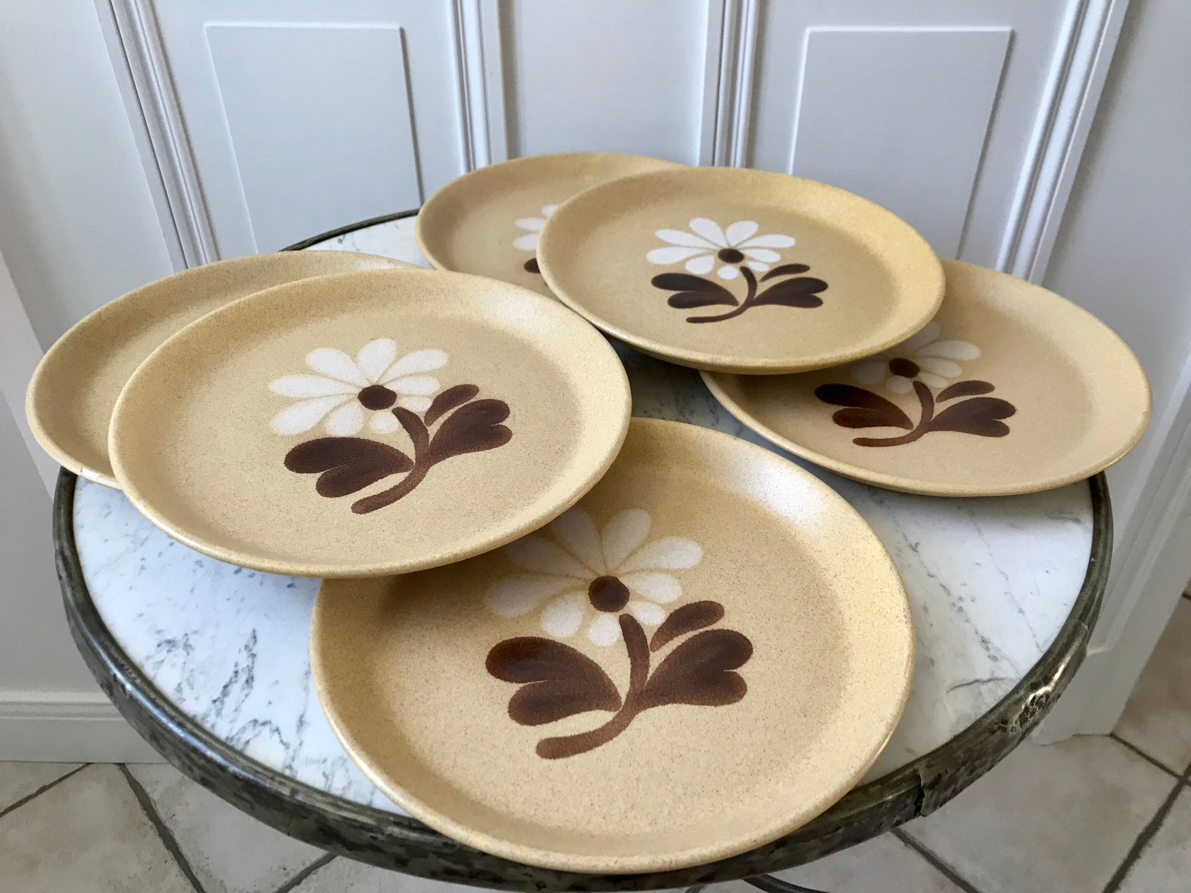 Set of 6 plates in sandstone flowers hand painted 70s