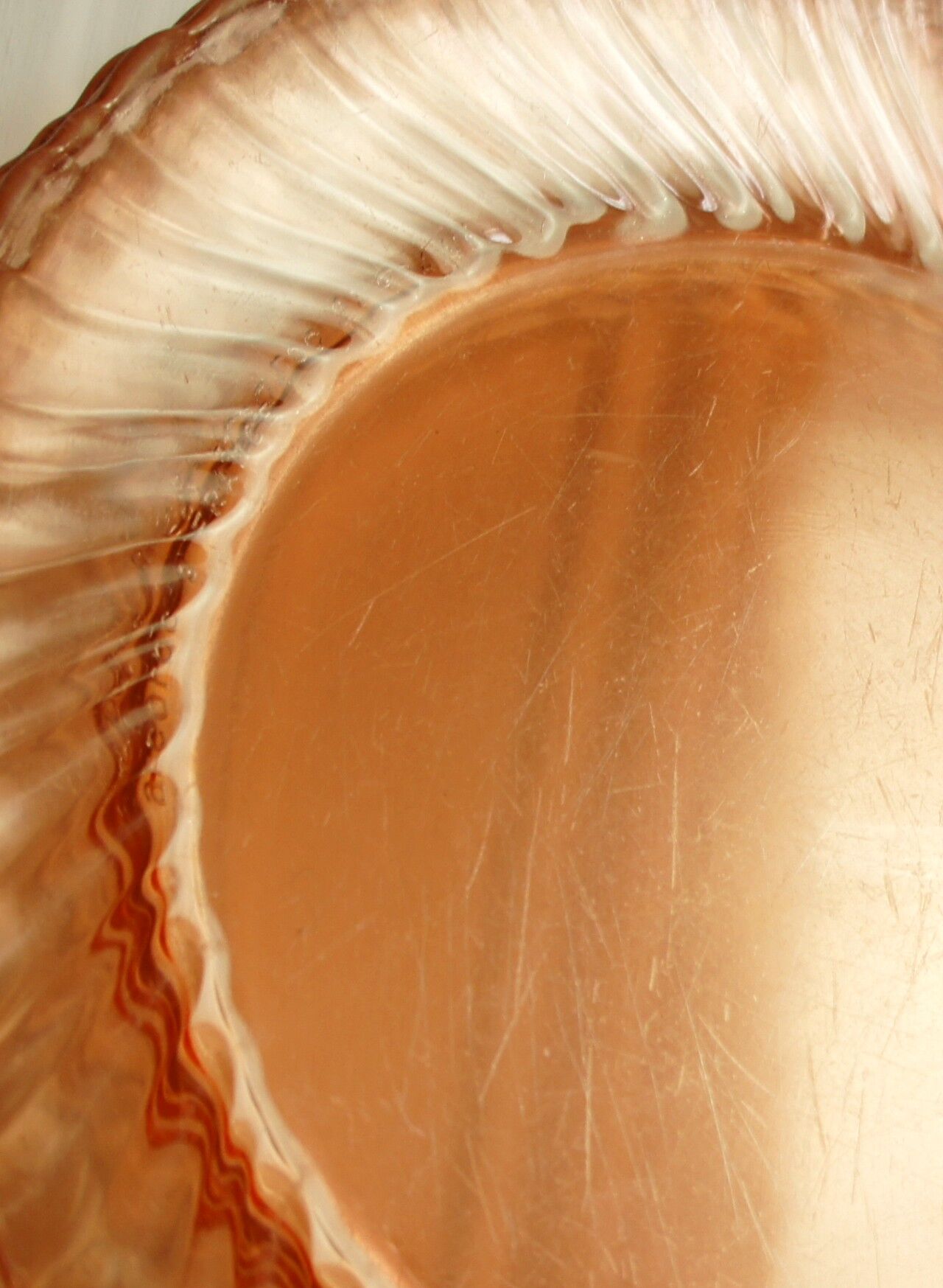 Set of 11 arcoroc France vintage plates