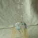 Carafe en verre emaille legras email gras fin 19 eme