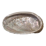Shell-shaped catchall