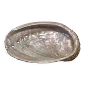 Shell-shaped catchall