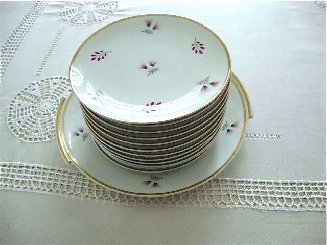 Set 12 plates and 1 porcelain dessert dish