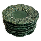 Cabbage leaf slip plates