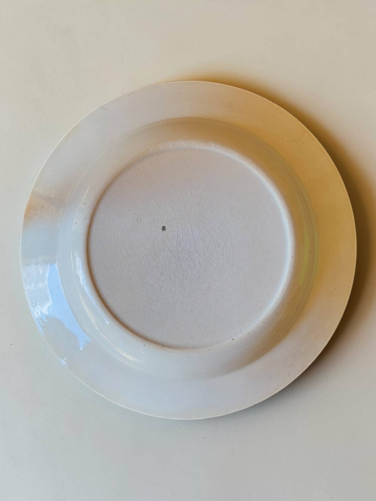 Shallow dish in Saint Amand earthenware