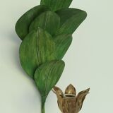 Vintage leaf wall lamp