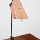 Copper planters with lamp