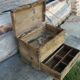 Tools box/antique nails years ago 30/40