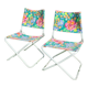 pair folding beach chairs