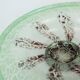 Magnifique grand bol en verre Art déco Ikora de WMF, Karl Wiedmann, années 1930, vert et