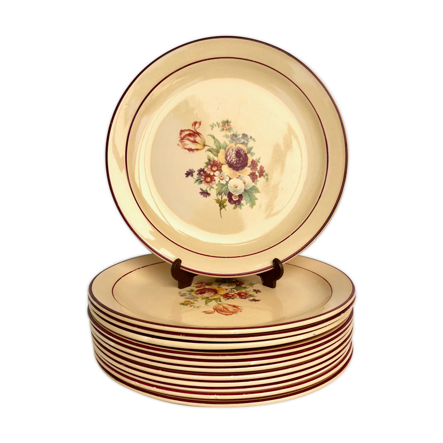 Set of 12 flat plates of Salins earthenware