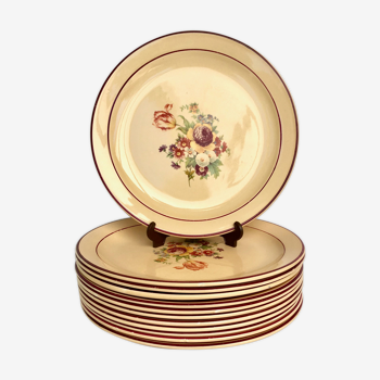 Set of 12 flat plates of Salins earthenware