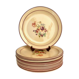 Set of 12 flat plates of Salins earthenware