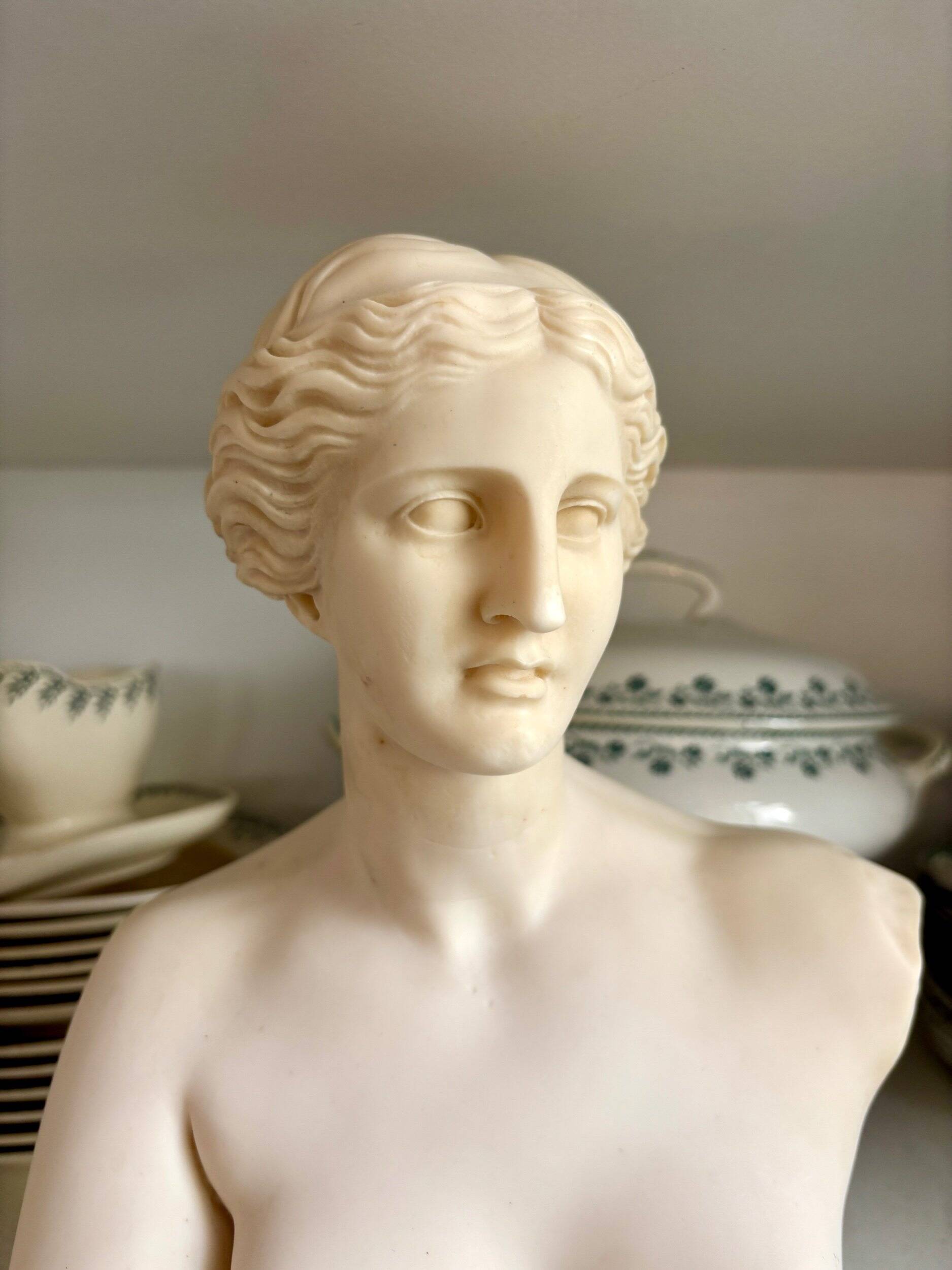 Bust of Venus on pedestal