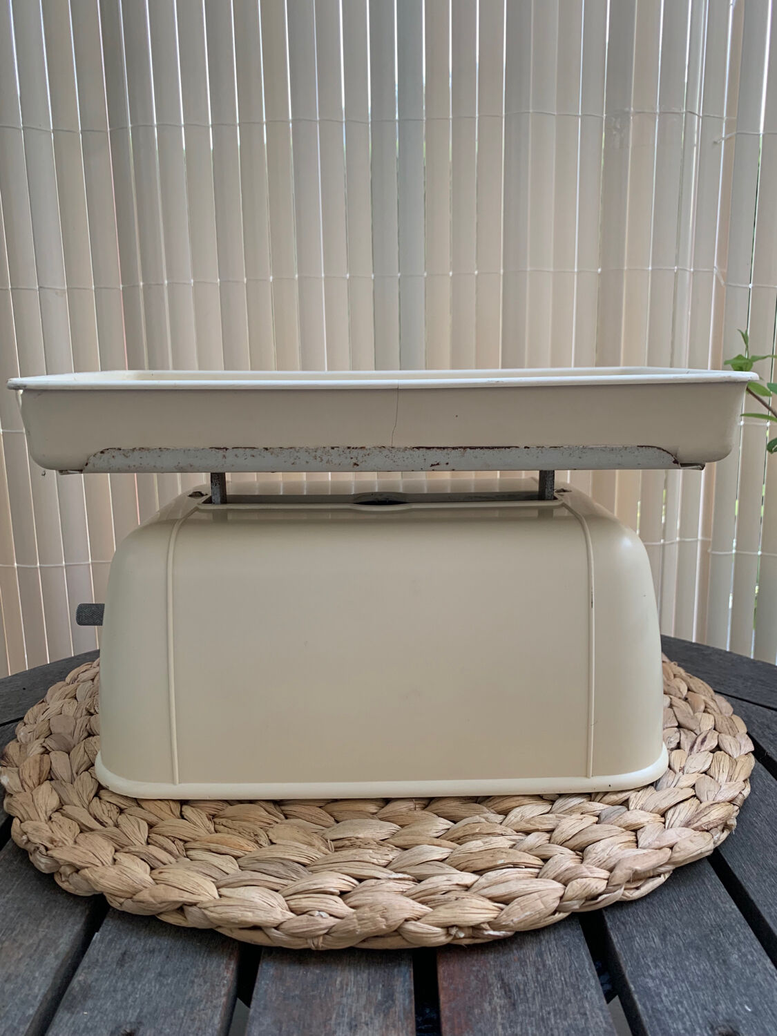 Testut household balance