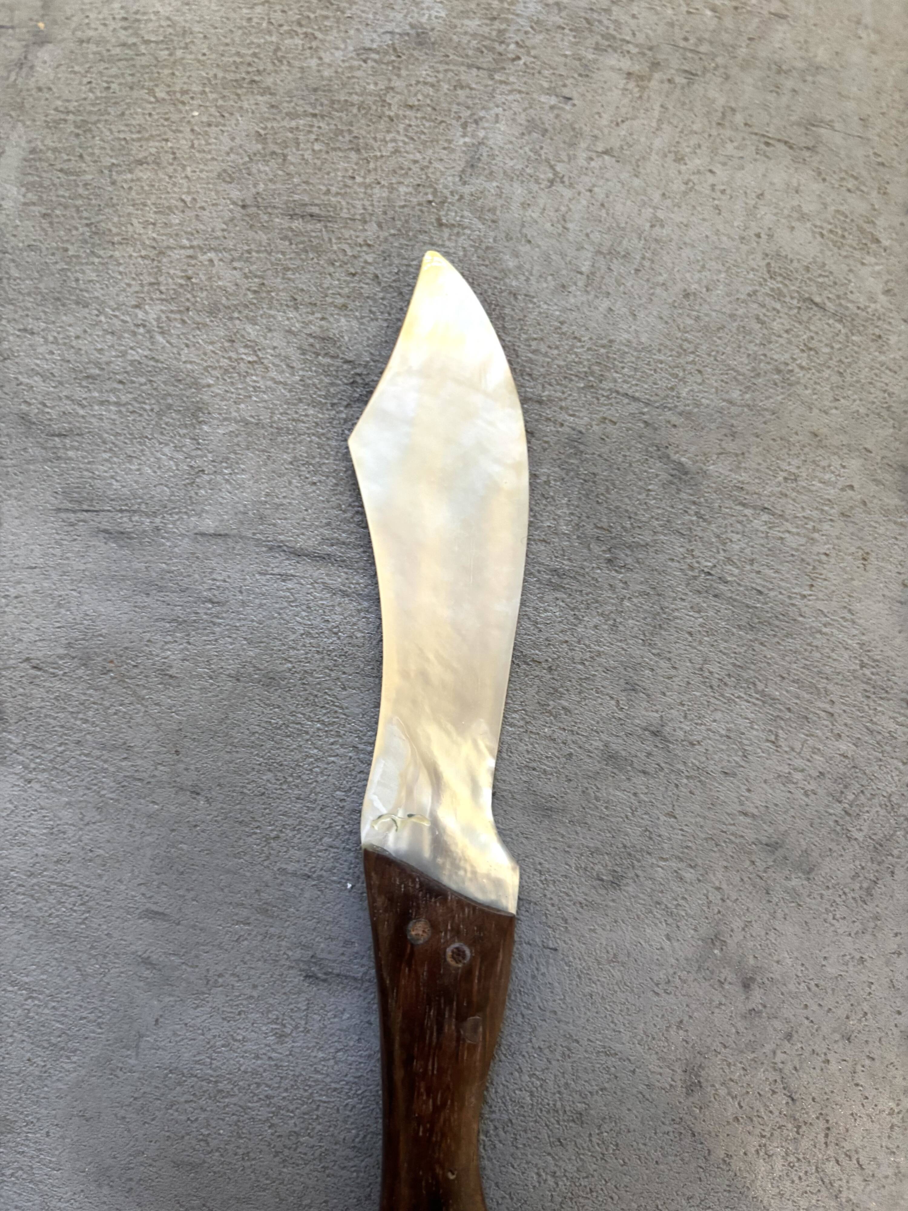 Mother-of-pearl spoon