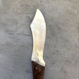 Mother-of-pearl spoon